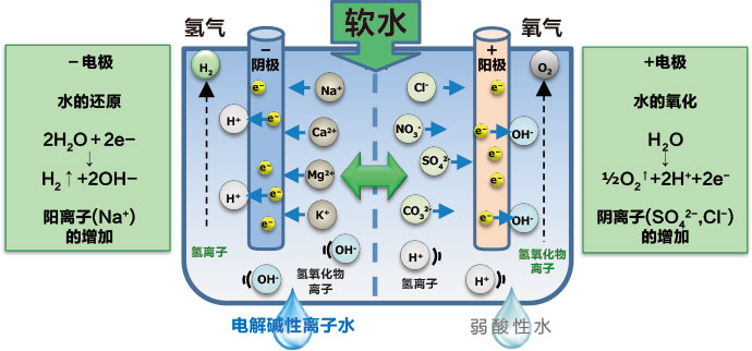 真空碳?xì)浠衔锴逑?></p>
						</div>
                        <div   id=