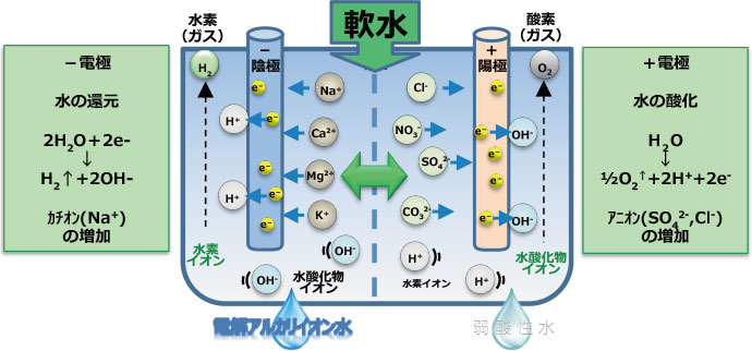 真空碳氫化合物清洗